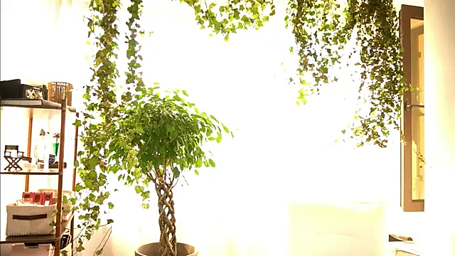 TheMaddisonShow_ webcam