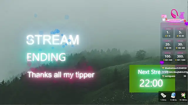 YourBurnWish - Live Cam