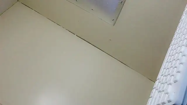 SweetcockAsian webcam