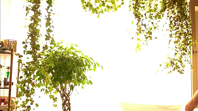 TheMaddisonShow_ webcam