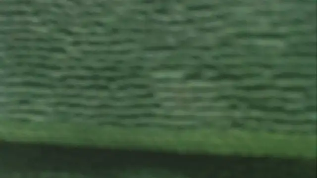 DecokingOneirism webcam