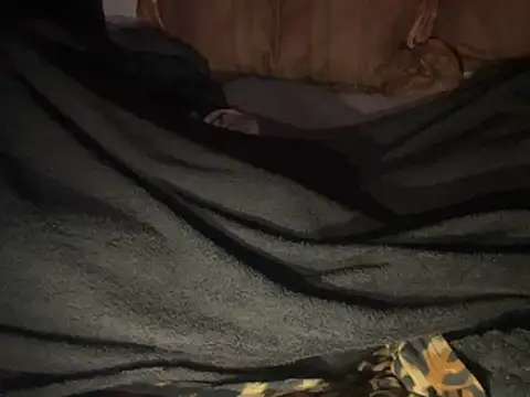 SlimeCrownzOut5 webcam