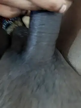 FeltedEuropium webcam