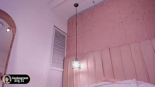 avy_st webcam