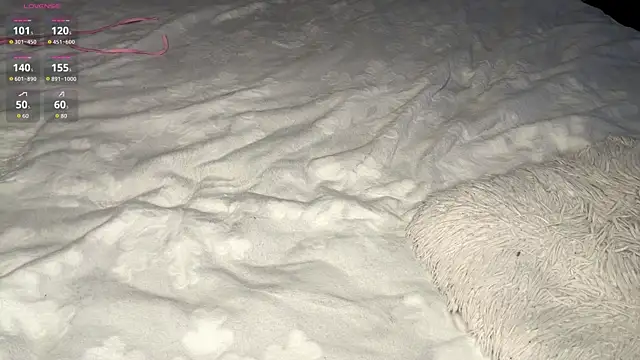 OdetteTrentinella webcam