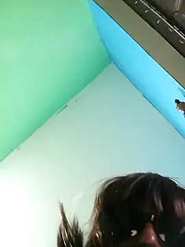 PleasantPassenger9 webcam