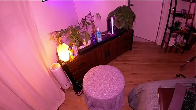 alldogsgotoheaven webcam