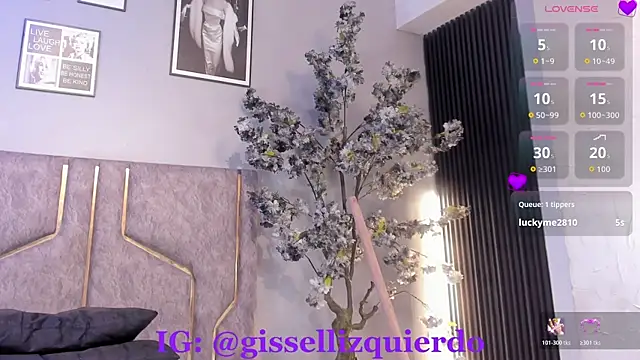 Liincostelloo webcam