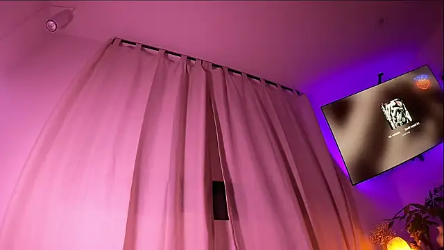 alldogsgotoheaven webcam