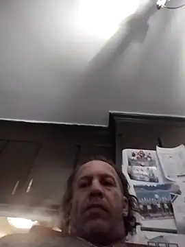 AceticPinscher webcam