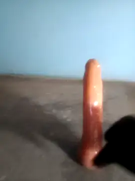 STRIP-KI-RANI webcam