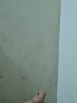 boydamdang1999x webcam