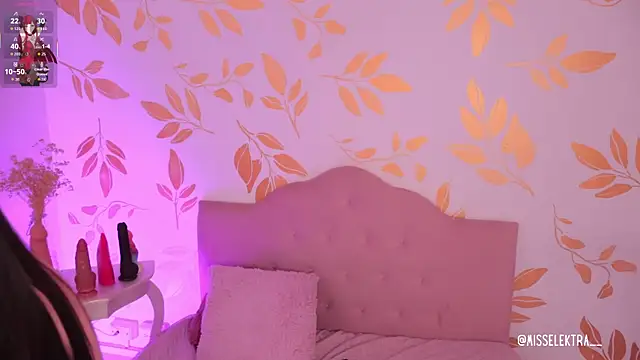 Misselektra__ webcam