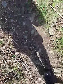 FreezingTie850 webcam