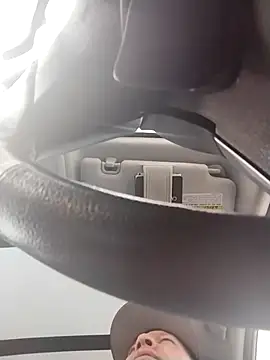 AceticPinscher webcam