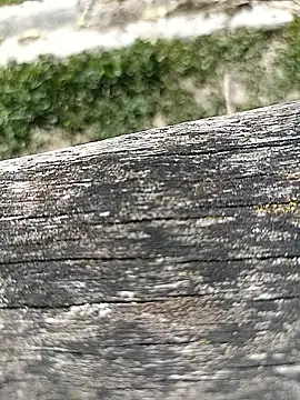 frenchblackc31 webcam