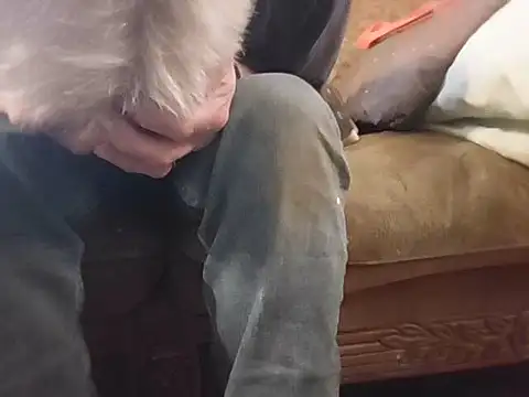 highstepper500 webcam