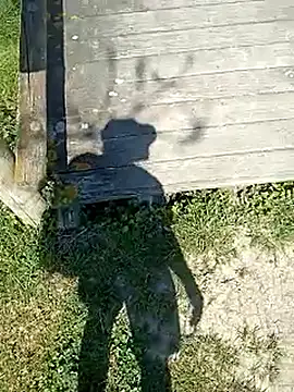 frenchblackc31's live cam