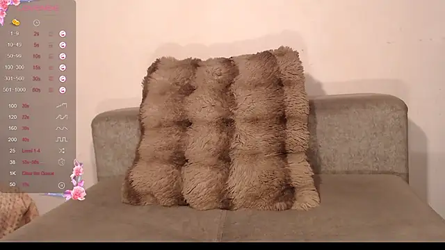 destinne_mill_ webcam