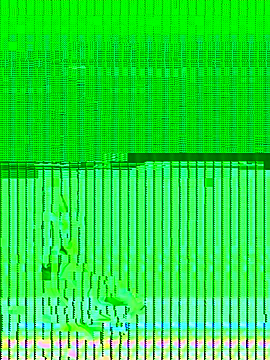 propertyofdaddy webcam