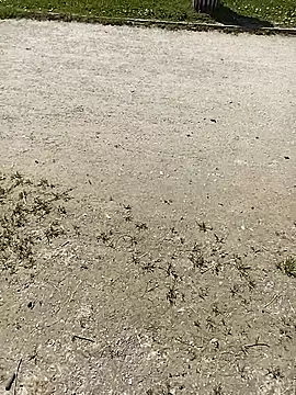 frenchblackc31 webcam