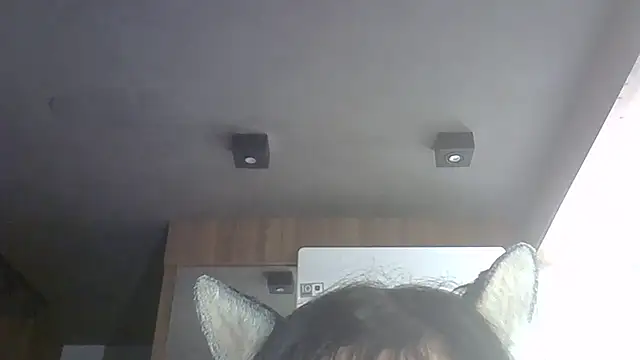 Preview SkinnyKitten