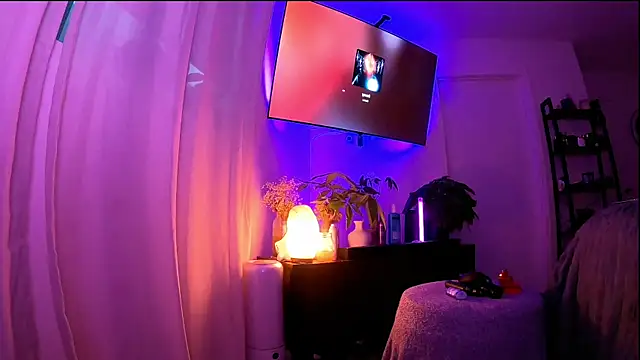 alldogsgotoheaven webcam