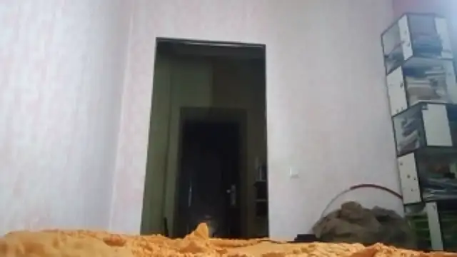 JanineThielman - Live Cam