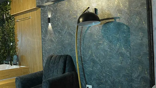 Ethan_occonor webcam