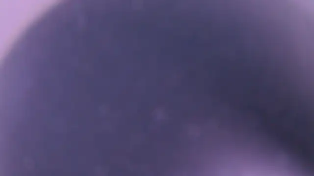 Chloe_MagnusKnight_ webcam