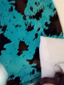 Bigdickdavis6969 webcam