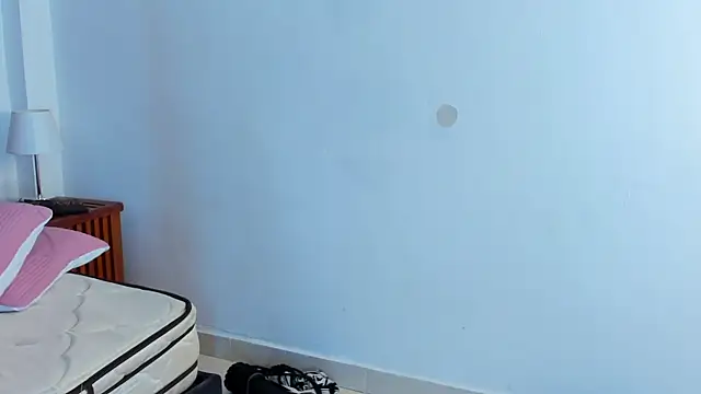 peakk_twiinns webcam