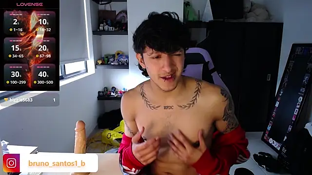 Bruno_santos1 webcam