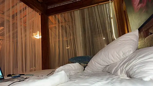 _intelligencer_ webcam