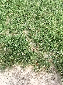 Preview geilerboy2628