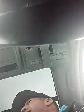 Preview of aceticpinscher