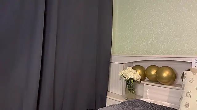 UpdatedRectus webcam