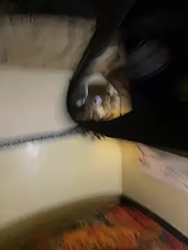 EnviousMaddie webcam