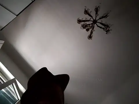 FINCHELABARCAVA webcam