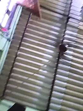 Tamilselviroja- webcam