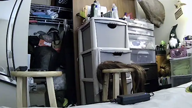 MasochSissy4U webcam