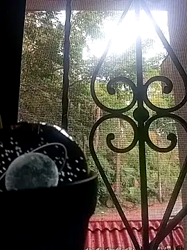 SabrinaVantress webcam