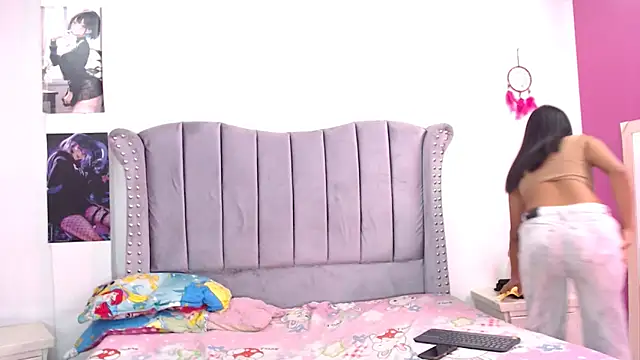 parys_merida02 webcam