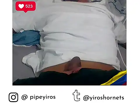 Preview of indiana_party