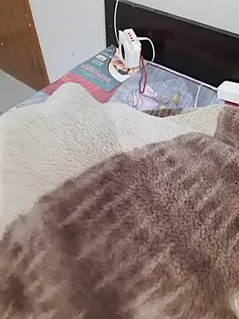 Your_Ayesha56 webcam