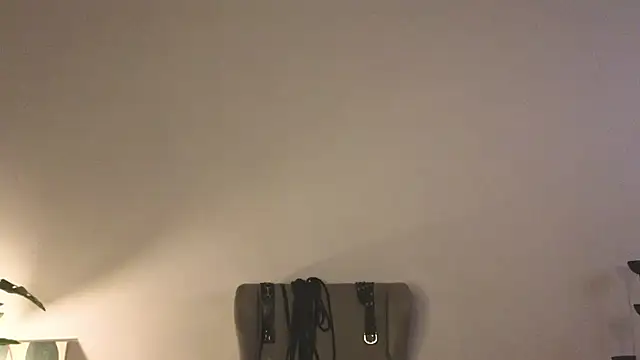 laracroftmansion webcam