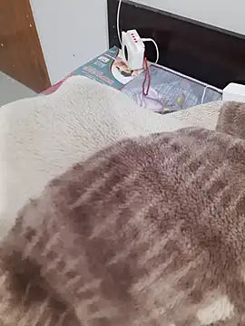 Your_Ayesha56 webcam