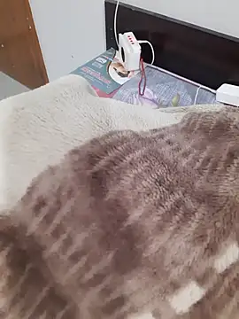 your_ayesha56 - Your_Ayesha56's free webcam - UK Sex Cams