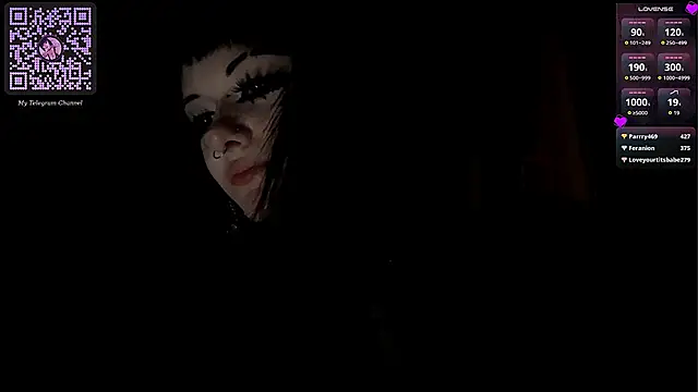 SmilingPatent webcam