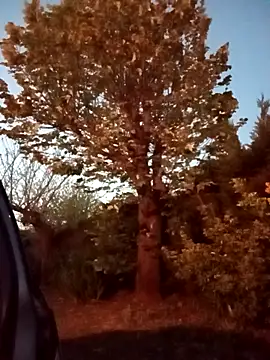 bzh45 - BZH45's free webcam - UK Sex Cams